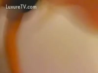 Fantastic juvenile golden-haired slips her pants to the side for brute sex enjoyment